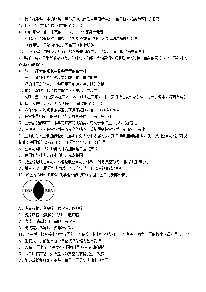 山东省枣庄市台儿庄区山东省枣庄市第二中学2024-2025学年高一上学期10月月考生物试题02