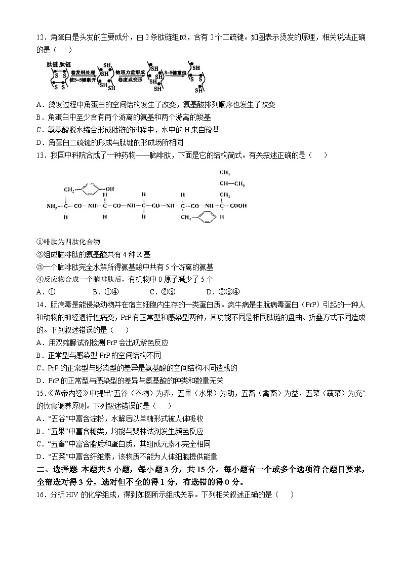 山东省枣庄市台儿庄区山东省枣庄市第二中学2024-2025学年高一上学期10月月考生物试题03