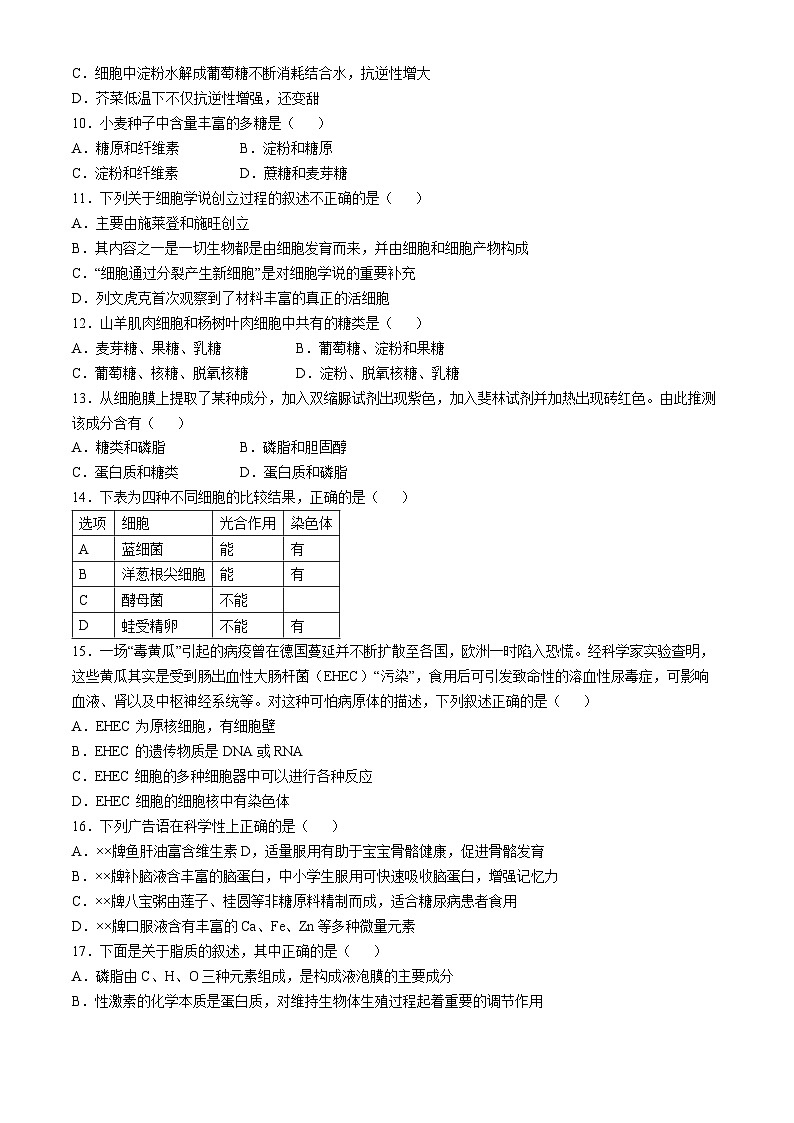 福建省漳州市第一中学2024-2025学年高一上学期10月月考生物试题(无答案)第3页