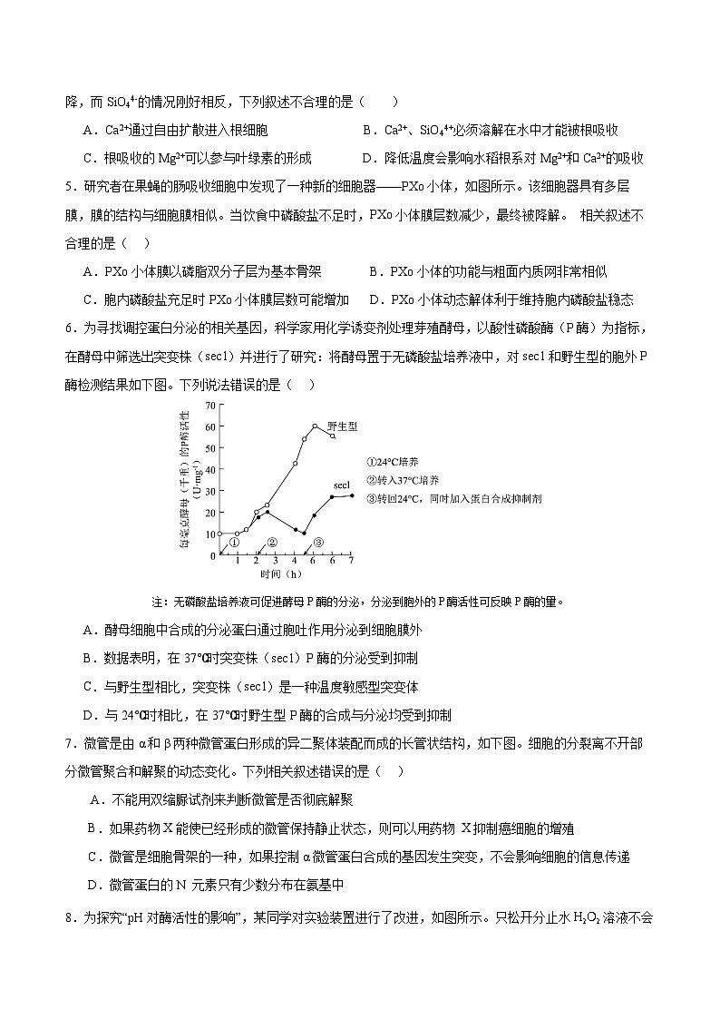 广东省深圳市高级中学2024-2025学年高三上学期10月第一次诊断测试 生物 Word版含答案第2页