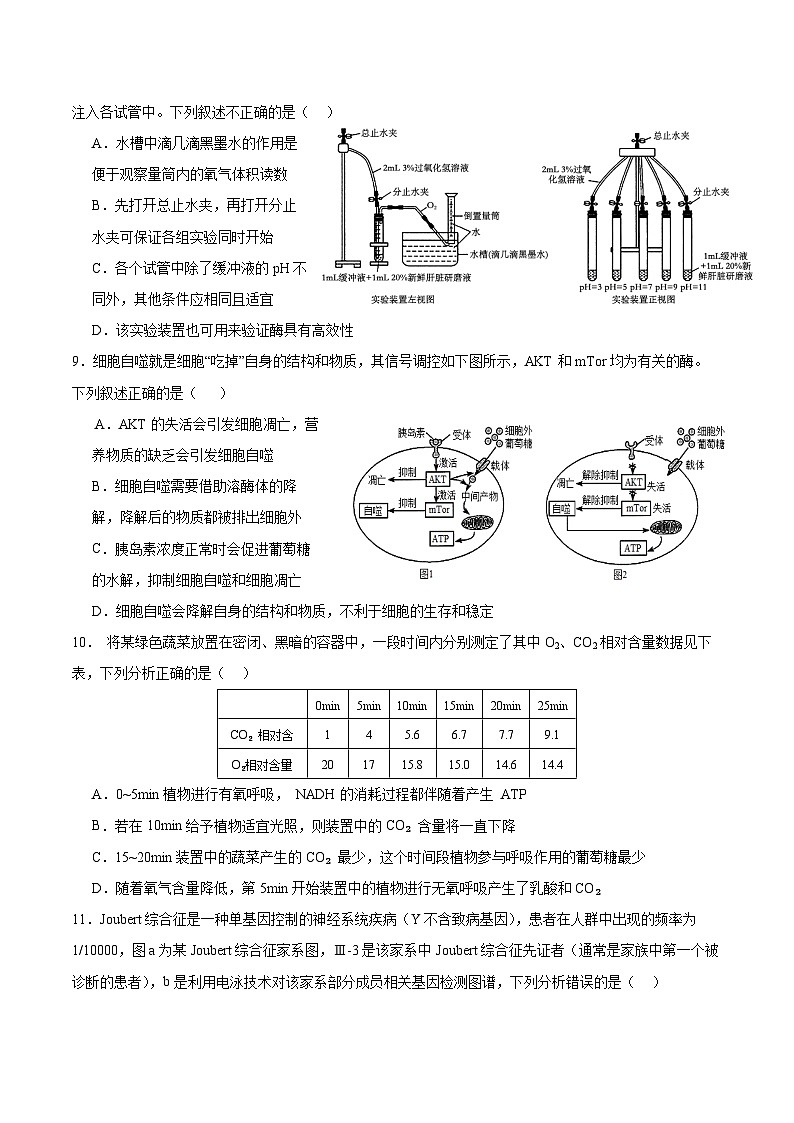 广东省深圳市高级中学2024-2025学年高三上学期10月第一次诊断测试 生物 Word版含答案第3页