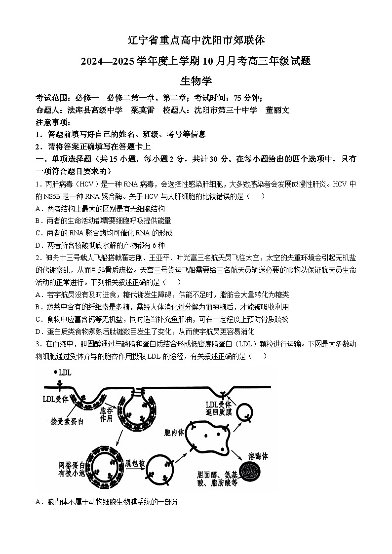 辽宁省重点高中沈阳市郊联体2024-2025学年高三上学期10月月考试题 生物 Word版含答案01