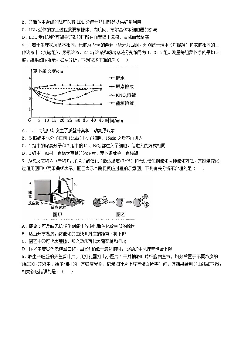 辽宁省重点高中沈阳市郊联体2024-2025学年高三上学期10月月考试题 生物 Word版含答案02