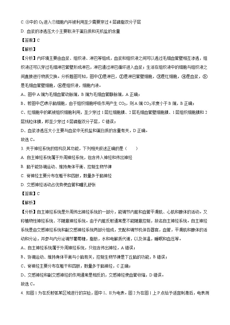 山东省菏泽市鄄城县第一中学2024-2025学年高二上学期10月月考生物试题（解析版）第2页