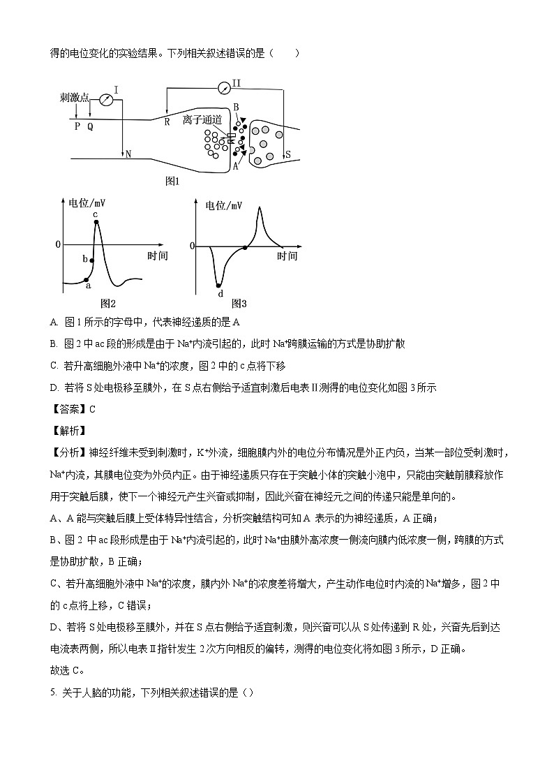 山东省菏泽市鄄城县第一中学2024-2025学年高二上学期10月月考生物试题（解析版）第3页