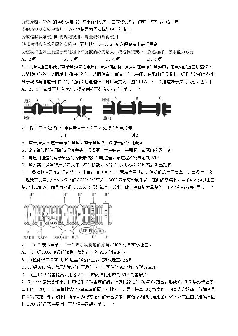 山东省实验中学2025届高三上学期第一次诊断考试生物试题（Word版附答案）第2页