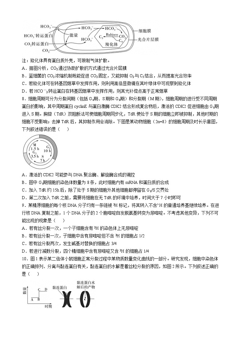 山东省实验中学2025届高三上学期第一次诊断考试生物试题（Word版附答案）第3页