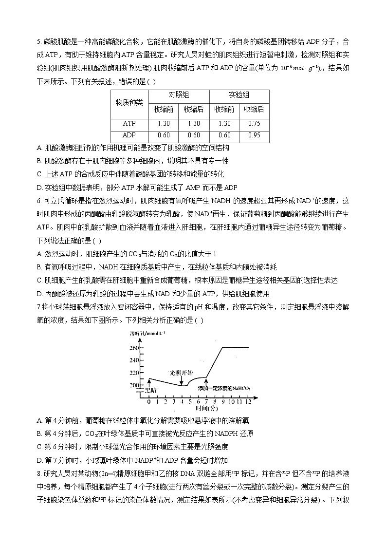 四川省绵阳中学2024-2025学年高三上学期10月月考生物试题（Word版附答案）第2页