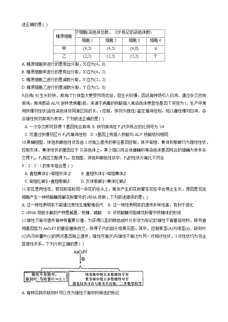 四川省绵阳中学2024-2025学年高三上学期10月月考生物试题（Word版附答案）第3页