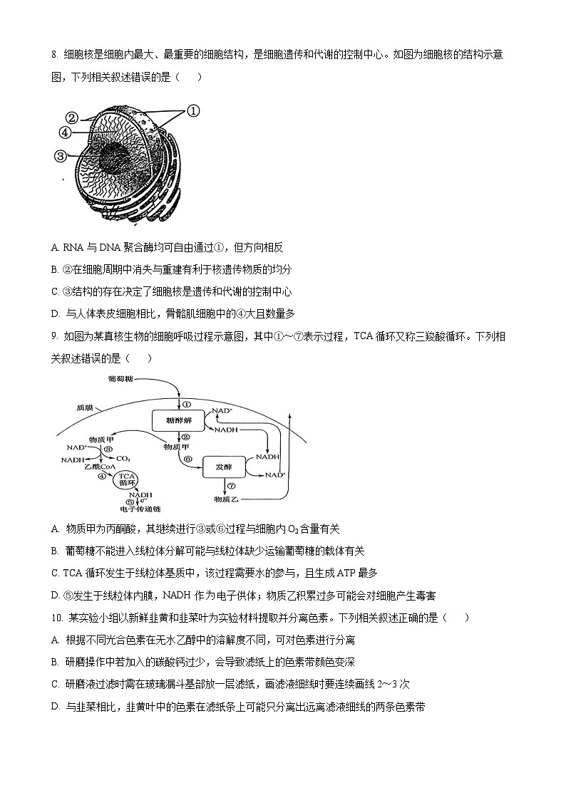 精品解析：2025届高三上学期九师联盟生物试题（原卷版）第3页