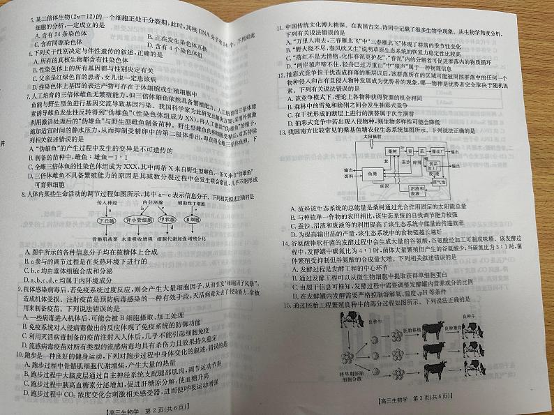 青海省部分学校2025届高三上学期10月联考生物试题（PDF版附答案）02