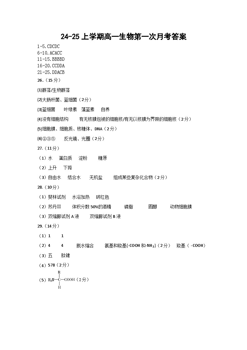 24-25高一上学期生物第一次月考答案第1页