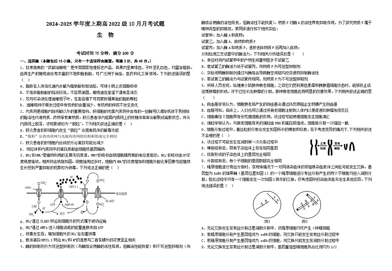 四川省成都市新津中学2024-2025学年高三上学期10月月考生物试题第1页