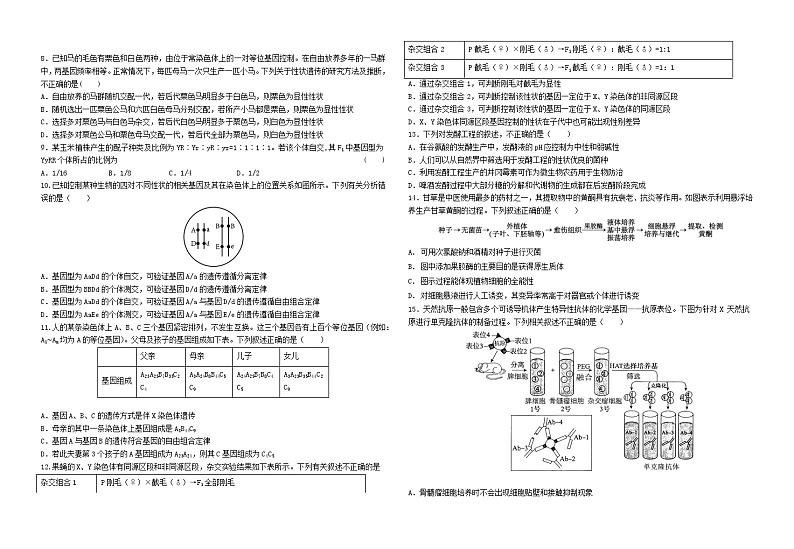 四川省成都市新津中学2024-2025学年高三上学期10月月考生物试题第2页