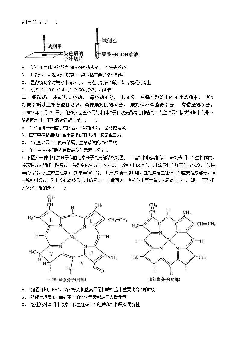 江西省抚州市南城一中2024-2025学年高一上学期10月月考生物试题(无答案)第2页