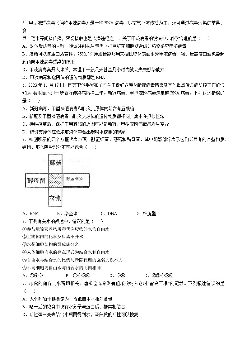 江苏省泰州市海陵区江苏省泰州中学2024-2025学年高一上学期10月月考生物试题第2页