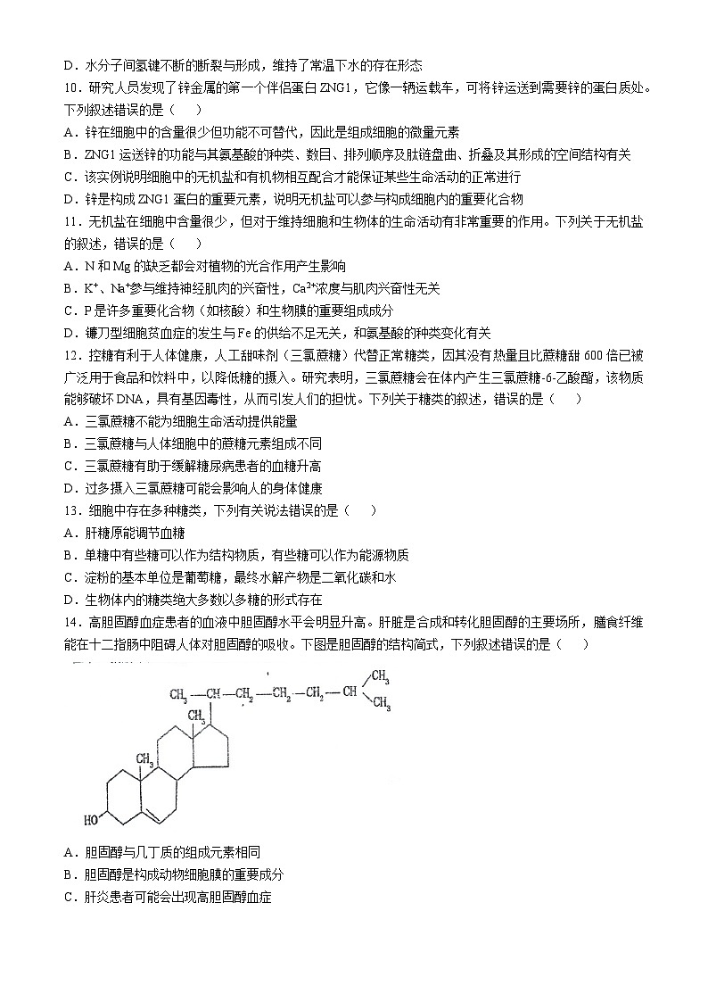 江苏省泰州市海陵区江苏省泰州中学2024-2025学年高一上学期10月月考生物试题第3页