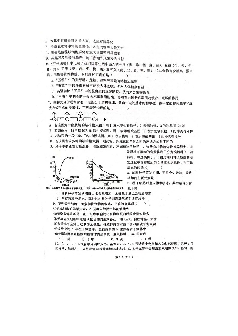 河南省驻马店市新蔡县第一高级中学2024-2025学年高一上学期月考生物试题第2页