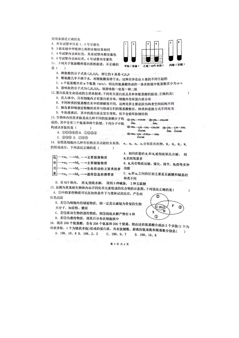 河南省驻马店市新蔡县第一高级中学2024-2025学年高一上学期月考生物试题第3页
