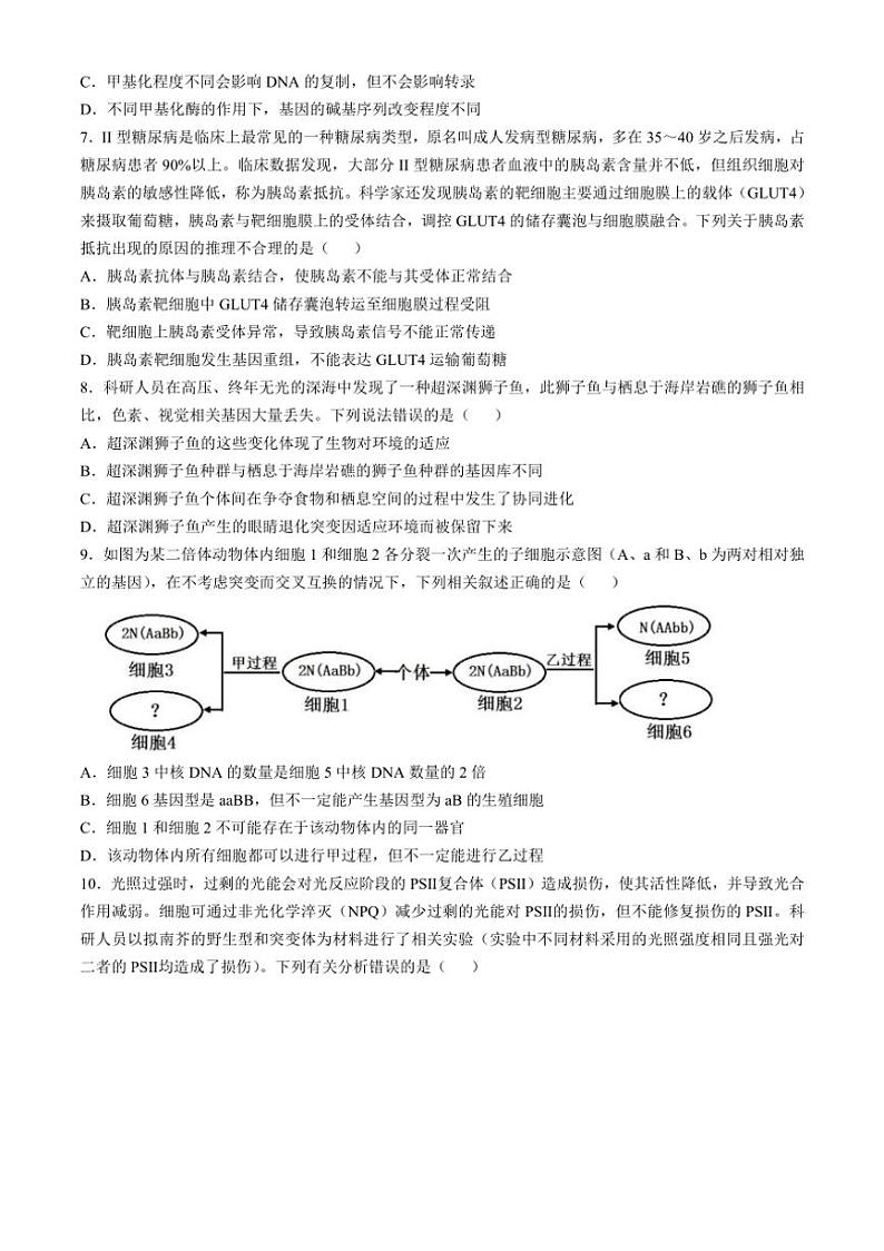 [生物]浙江省杭州第二中学2024～2025学年高三上学期第二次月考学试卷(有答案)第2页