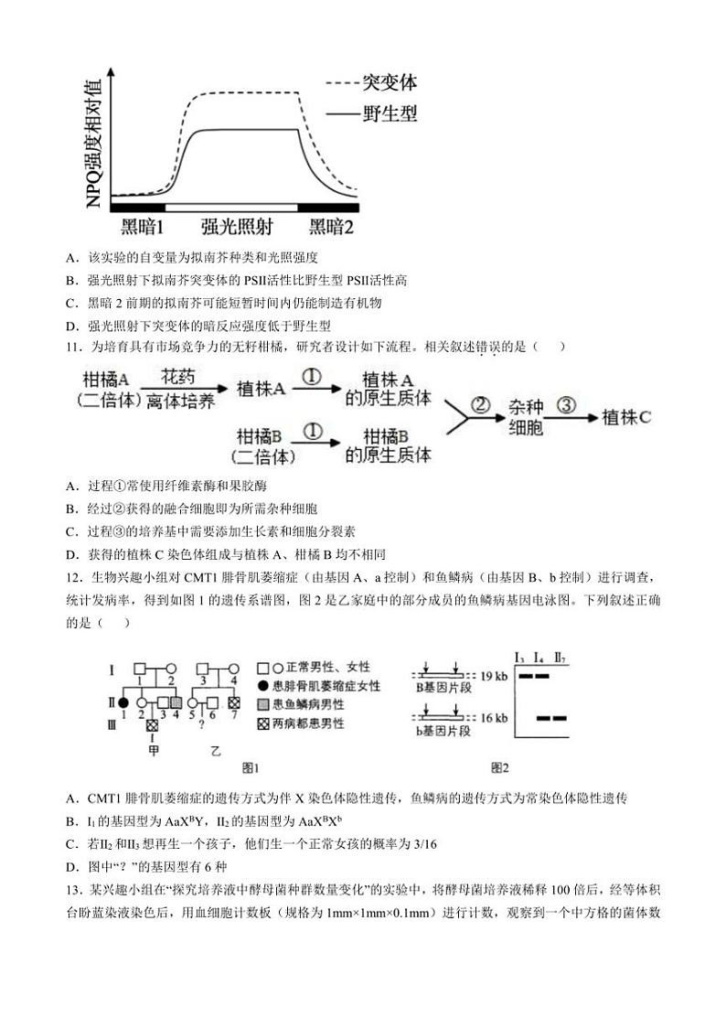 [生物]浙江省杭州第二中学2024～2025学年高三上学期第二次月考学试卷(有答案)第3页