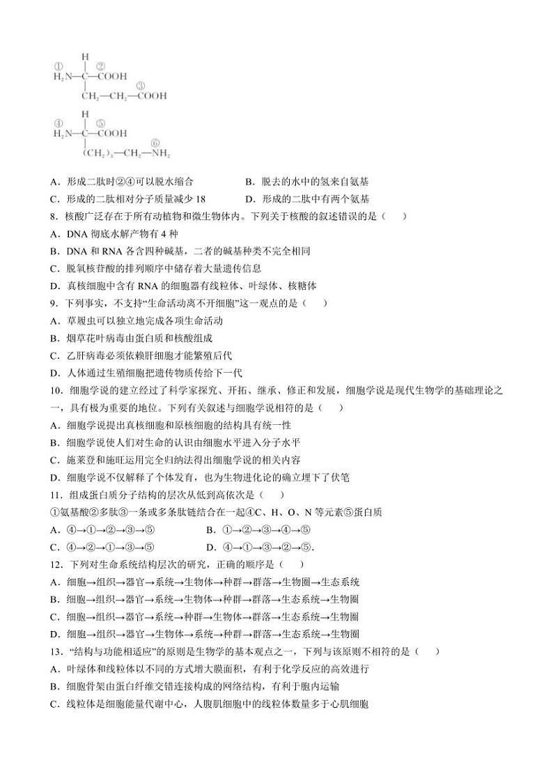[生物]浙江省丽水市“五校高中发展共同体”2024～2025学年高一上学期10月联考试题(有答案)第2页