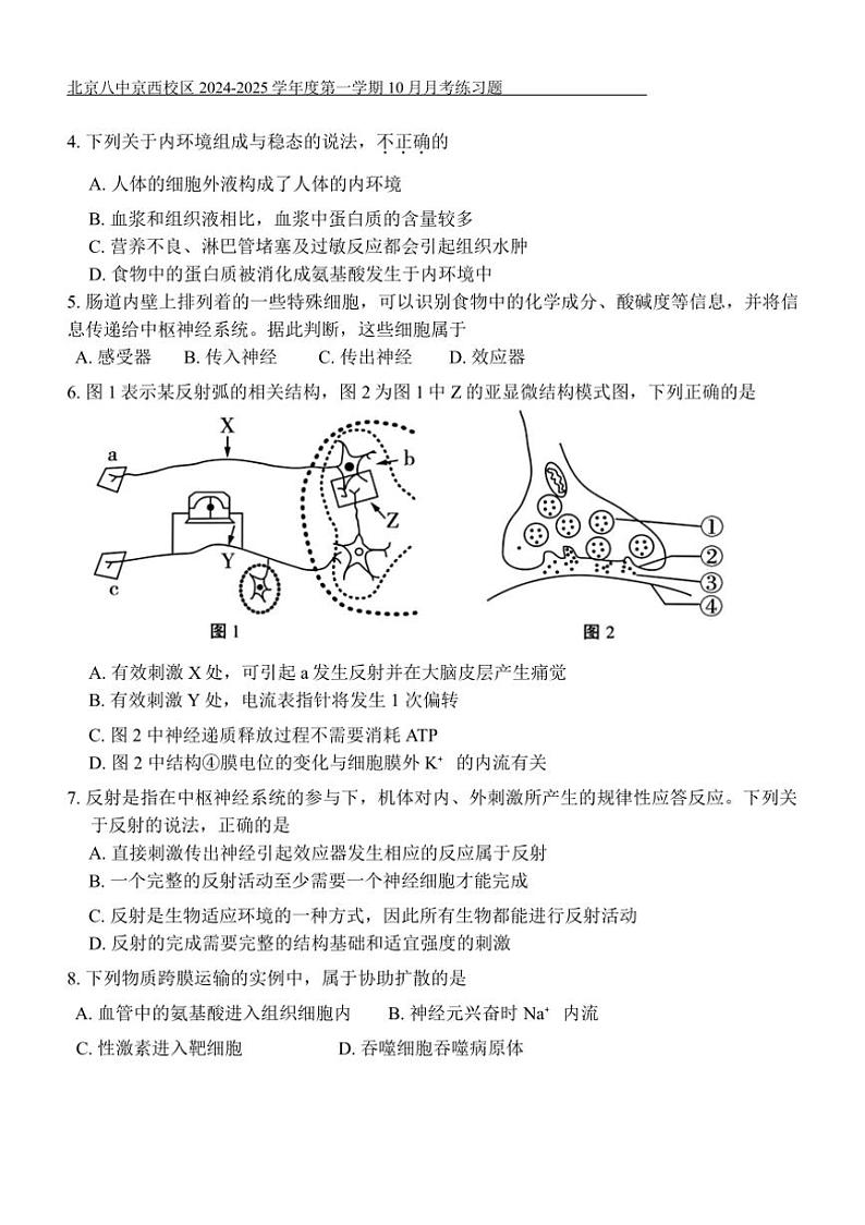 [生物]北京市第八中学京西校区2024～2025学年高二上学期10月月考练习题(有答案)02