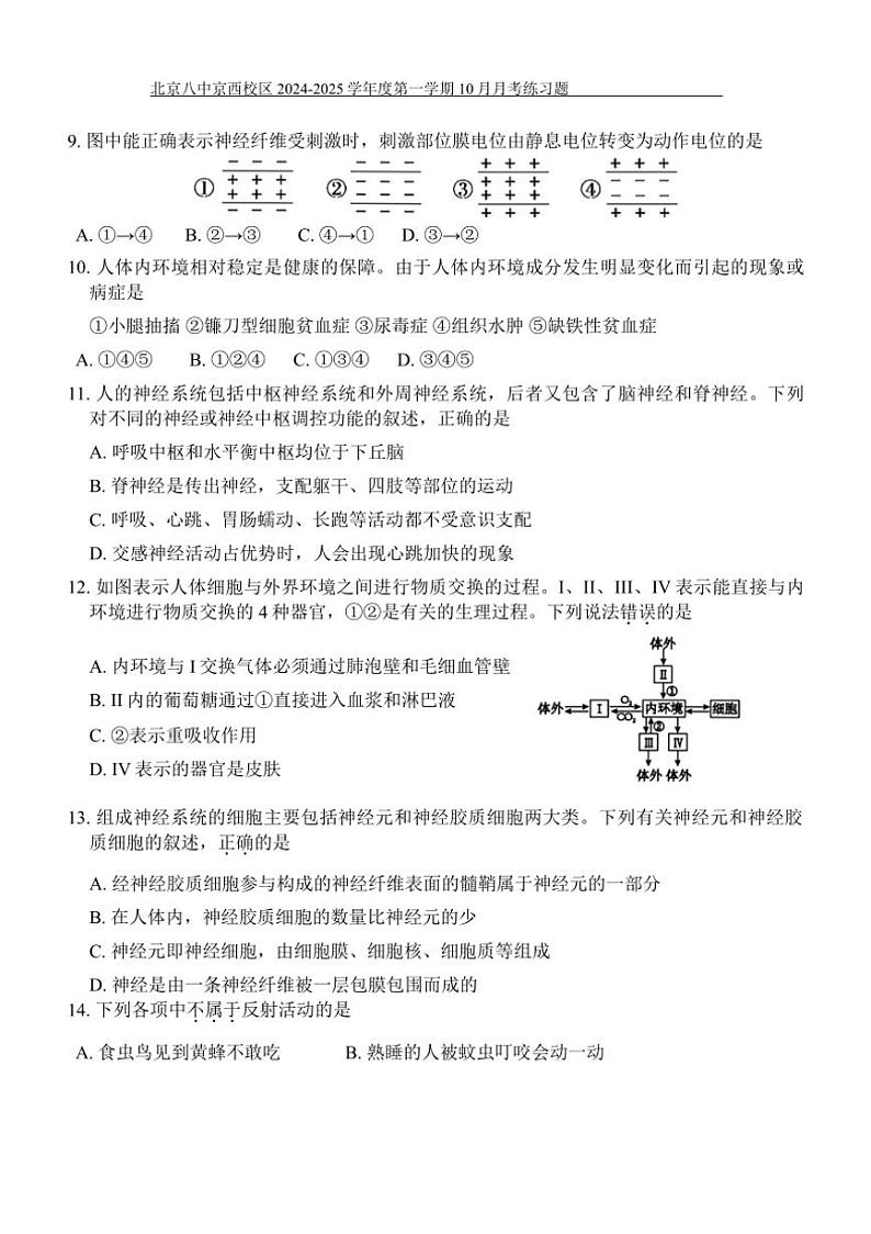 [生物]北京市第八中学京西校区2024～2025学年高二上学期10月月考练习题(有答案)03