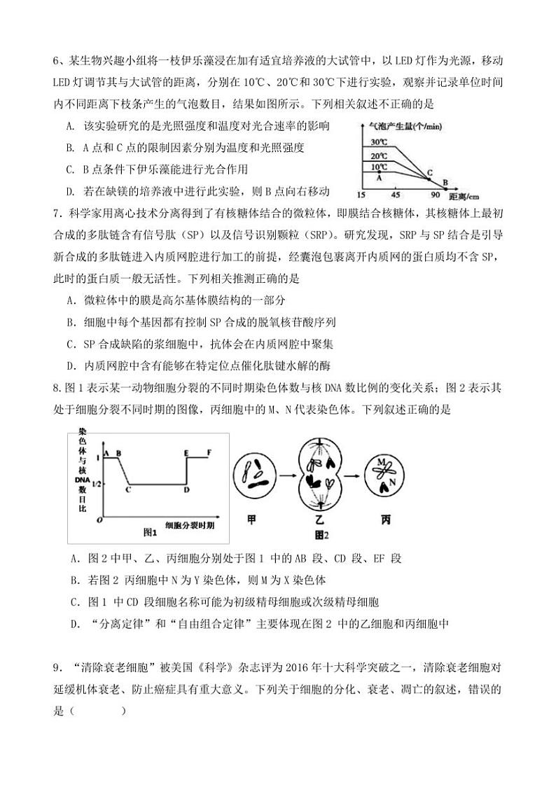 [生物]福建省宁德市柘荣县柘荣县第一中学2024～2025学年高三上学期10月第二次月考学试题(有答案)第2页