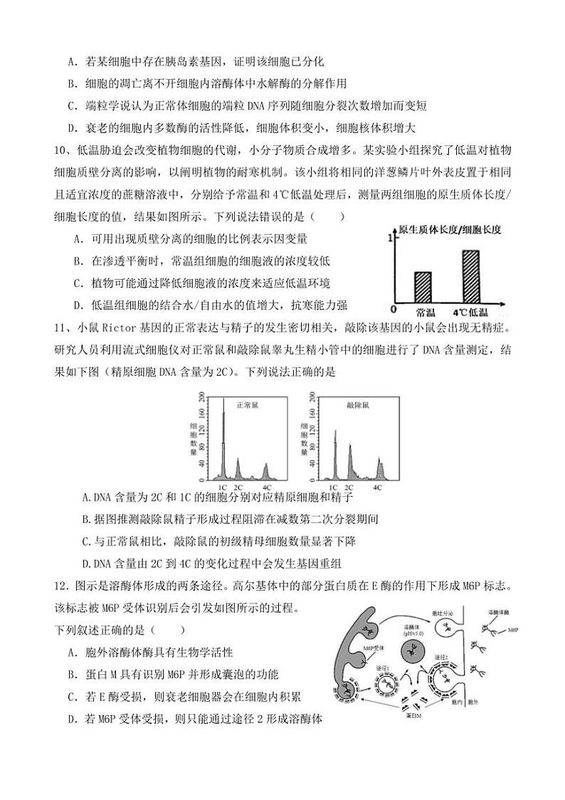 [生物]福建省宁德市柘荣县柘荣县第一中学2024～2025学年高三上学期10月第二次月考学试题(有答案)第3页