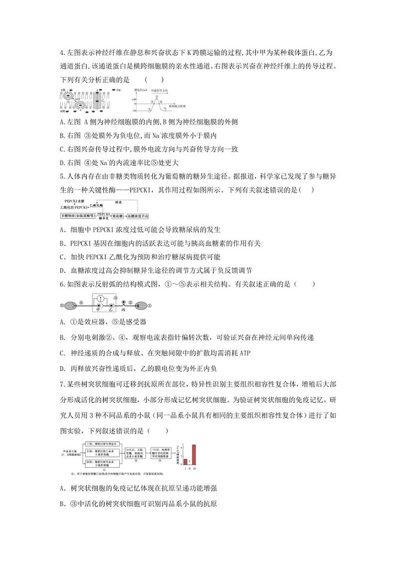 [生物]陕西省西安市西安市田家炳中学大学区联考2024～2025学年高二上学期10月月考学试题(有答案)第2页