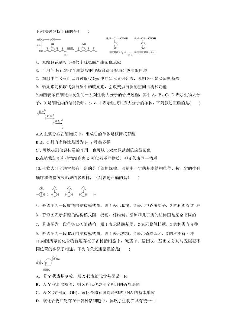 [生物]陕西省西安市西安市部分学校联考2024～2025学年高一上学期10月月考学试题(有答案)03
