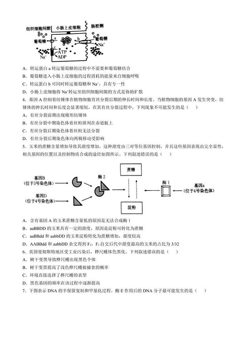 [生物]山西省名校2024～2025学年高二上学期10月联合考试试题(有解析)第2页