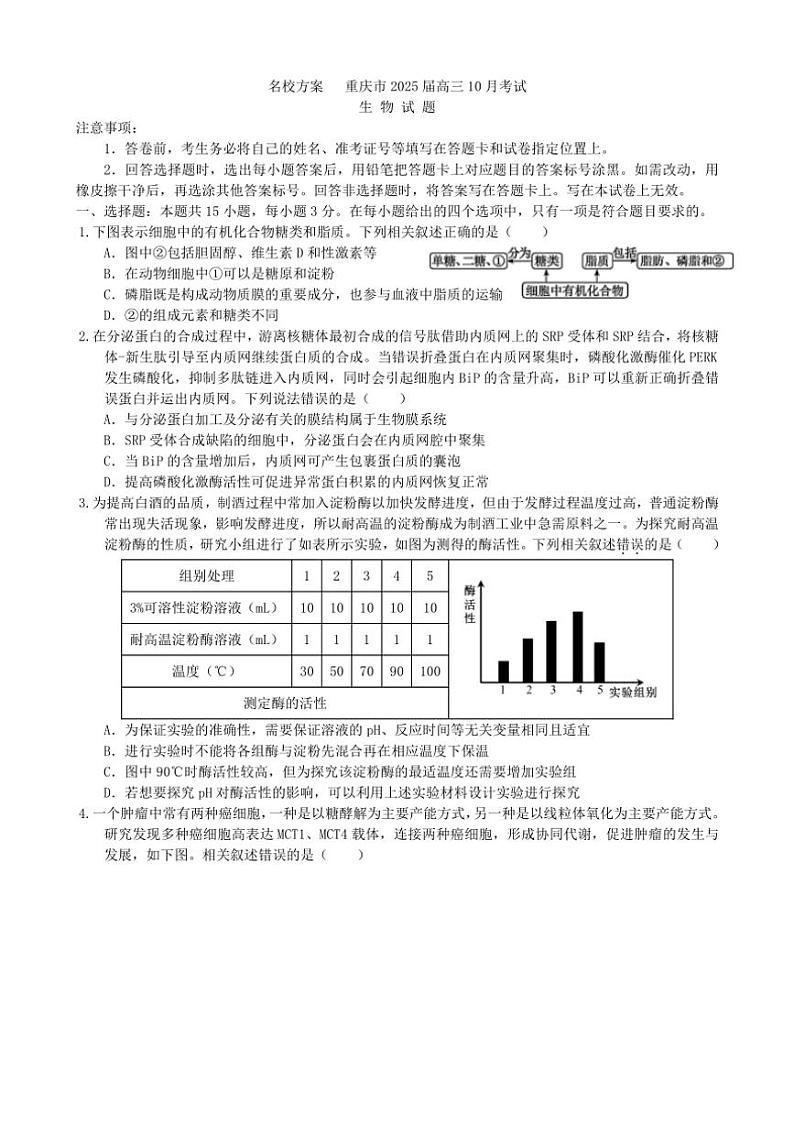 [生物]重庆市“名校方案联盟”2024～2025学年高三上学期10月大联考试题(有答案)第1页