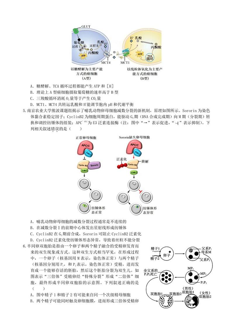 [生物]重庆市“名校方案联盟”2024～2025学年高三上学期10月大联考试题(有答案)第2页