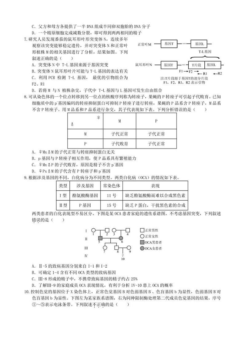 [生物]重庆市“名校方案联盟”2024～2025学年高三上学期10月大联考试题(有答案)第3页
