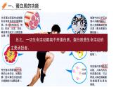 高中生物必修一蛋白质是生命活动的主要承担者新课课件