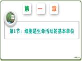 人教版（2019）高中生物必修一《分子与细胞》第一章第一节1.1细胞是生命活动的基本单位-课件