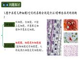 人教版（2019）高中生物必修一《分子与细胞》第一章第二节1.2细胞的多样性和统一性（第一课时）-课件