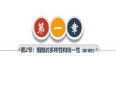 人教版（2019）高中生物必修一《分子与细胞》第一章第二节1.2细胞的多样性和统一性（第二课时）-课件