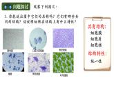 人教版（2019）高中生物必修一《分子与细胞》第一章第二节1.2细胞的多样性和统一性（第二课时）-课件