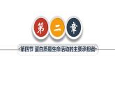 人教版（2019）高中生物必修一《分子与细胞》第二章第四节2.4蛋白质是生命活动的主要承担者（第一课时）-课件
