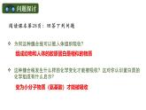 人教版（2019）高中生物必修一《分子与细胞》第二章第四节2.4蛋白质是生命活动的主要承担者（第一课时）-课件
