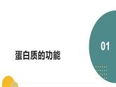 人教版（2019）高中生物必修一《分子与细胞》第二章第四节2.4蛋白质是生命活动的主要承担者（第一课时）-课件