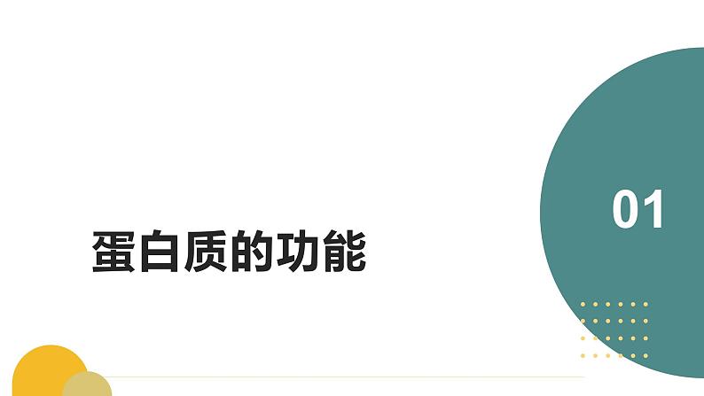 人教版（2019）高中生物必修一《分子与细胞》第二章第四节2.4蛋白质是生命活动的主要承担者（第一课时）-课件04