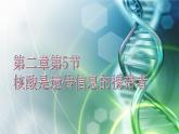 人教版（2019）高中生物必修一《分子与细胞》第二章第五节2.5核酸是遗传信息的携带者-课件