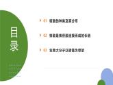 人教版（2019）高中生物必修一《分子与细胞》第二章第五节2.5核酸是遗传信息的携带者-课件