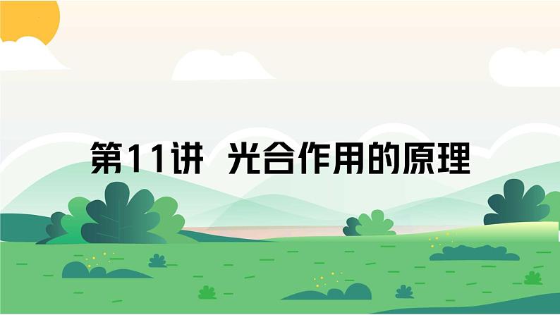 11 光合作用的原理-备战2025年高考生物一轮复习知识点精编课件第1页