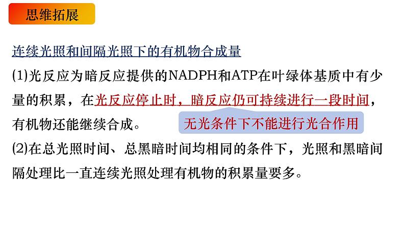 11 光合作用的原理-备战2025年高考生物一轮复习知识点精编课件第6页