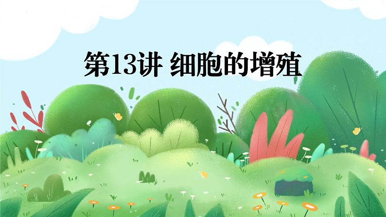 13 细胞的增殖-备战2025年高考生物一轮复习知识点精编课件第1页